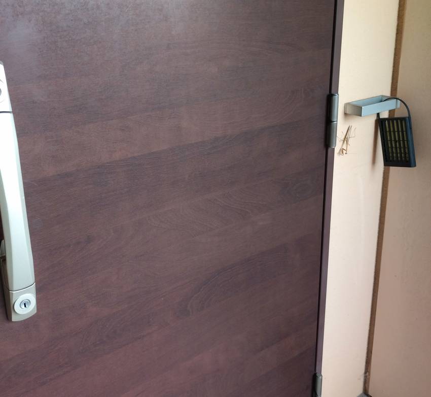 帰ってきてドアを開けようとした...