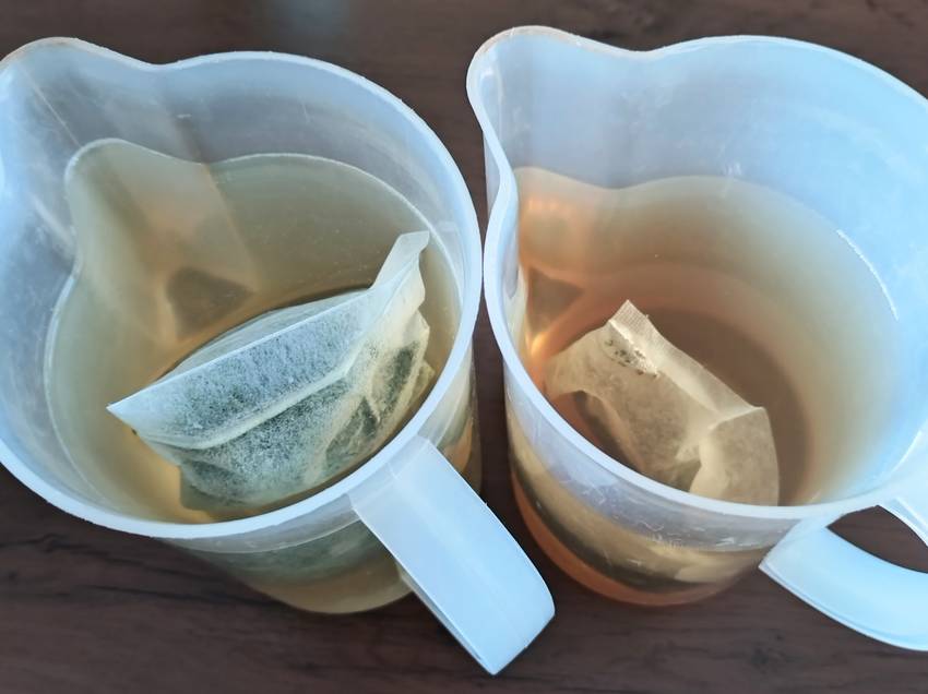 緑茶とジャスミンティー ジャス...