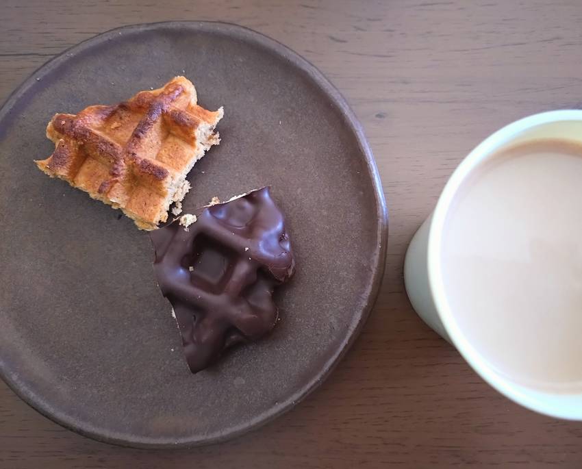 チョコがけプレーンも美味いが ...
