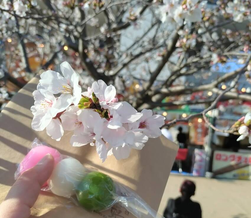 花小なり屋台　かな？