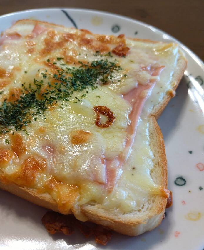 作り方ネットで探して作ってみた
