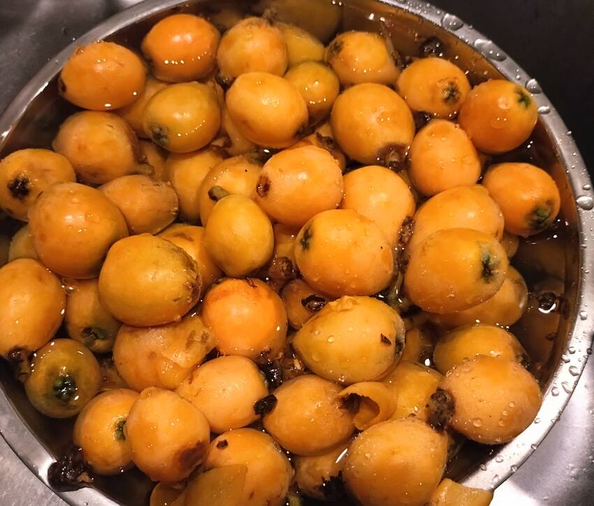 めちゃくちゃ大量 友達はこれの...