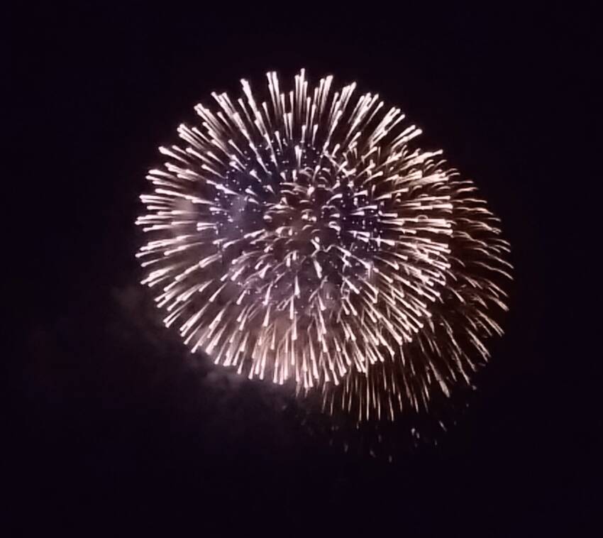 ほろ酔いぶどう入りました〜マニ...
