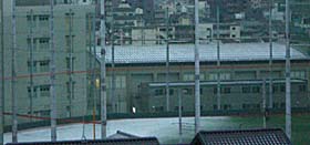 雪降りましたね。