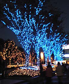 ブルーが主体の電飾