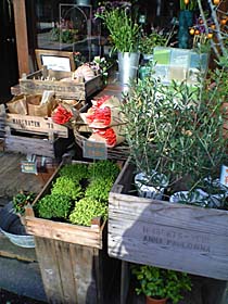 花屋