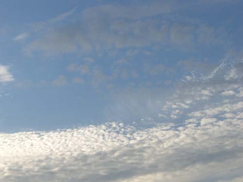 空03