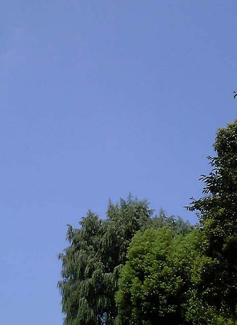 【イベント空】８月〜夏の空〜