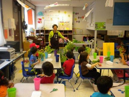 IKEBANA class
