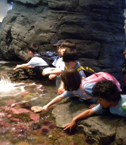 Fieldtrip report