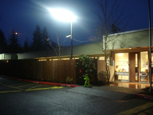 New Lights in the Parking