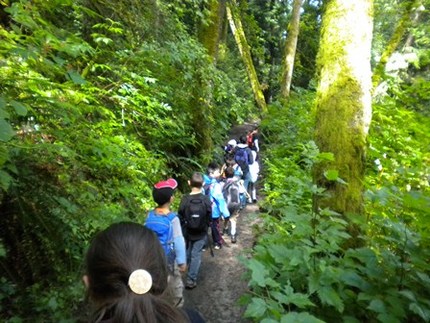 Field Trip