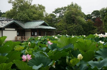 建物は休憩所、鳩も休んでいます...