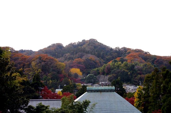 【イベント紅葉】今年も最後