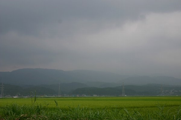 【テーマでブログる】 ８月のテ...