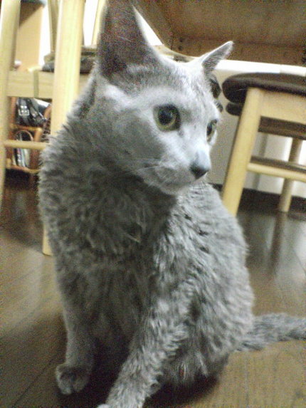 小春日和♪