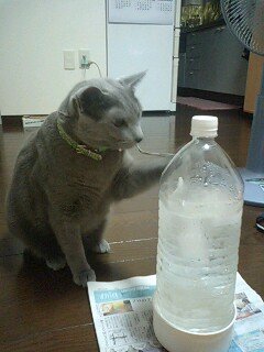 氷柱♪