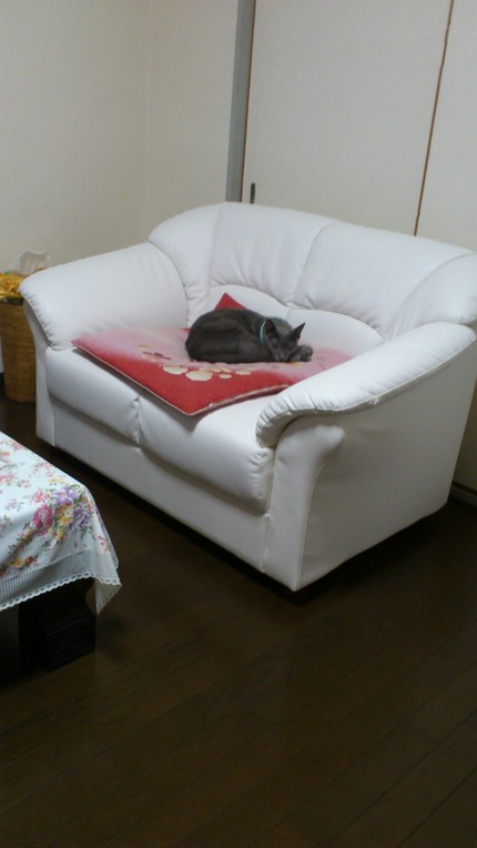 σ(^_^)の席が・・・ しゃ...