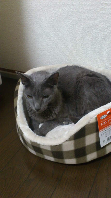 気に入ったようです♪