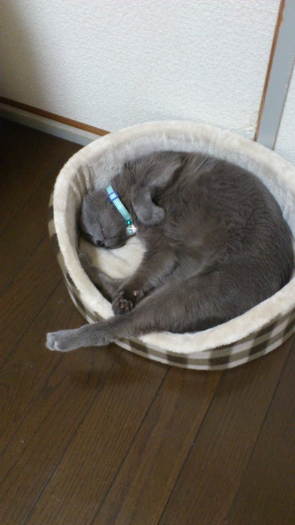 熟睡