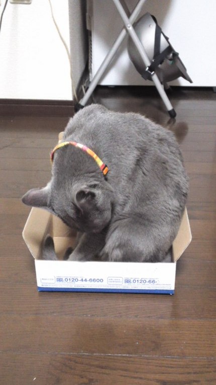 それは無理やろ（≧∇≦）