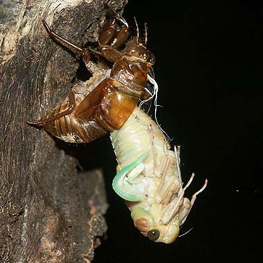 ♀かな？！ ※webから拝借...