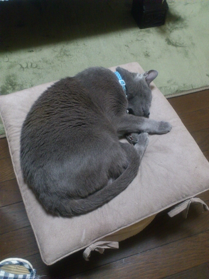 ちと丸まり方が足りんな(^^ゞ