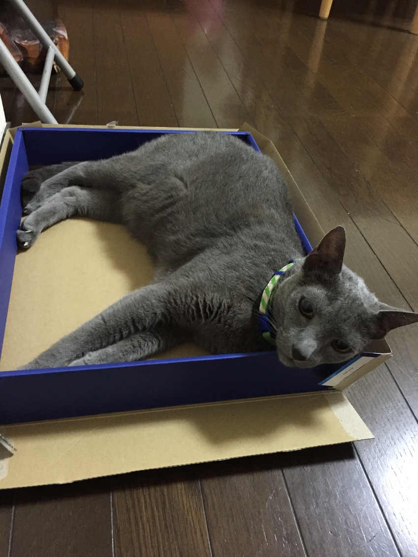 それは浅いやろ(^^ゞ