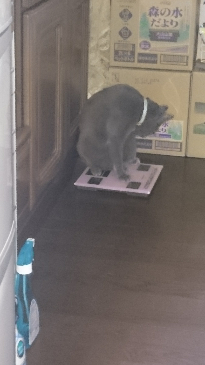 体脂肪は・・・・