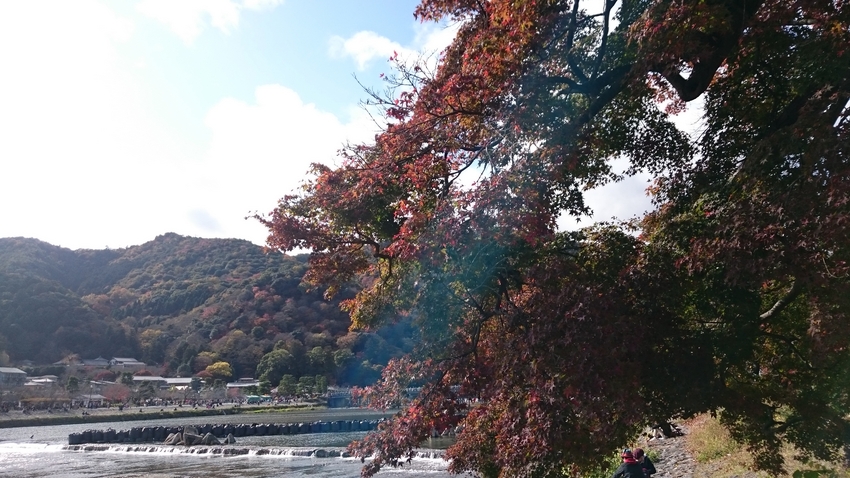 こんな感じ