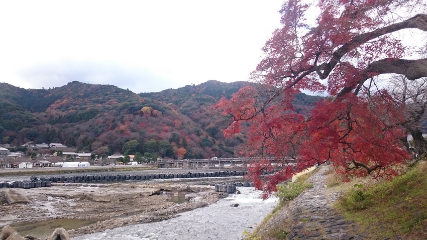 河川の改修工事も重なり・・・趣...