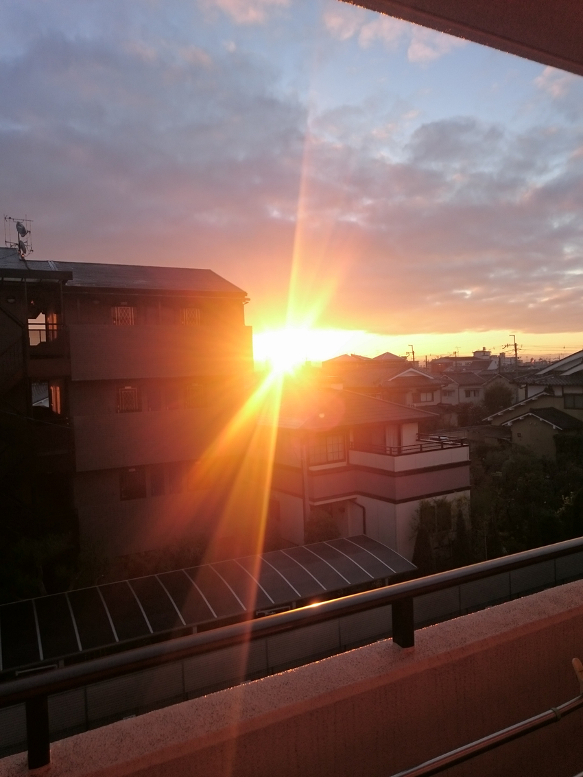 朝日を浴びるルイ♪