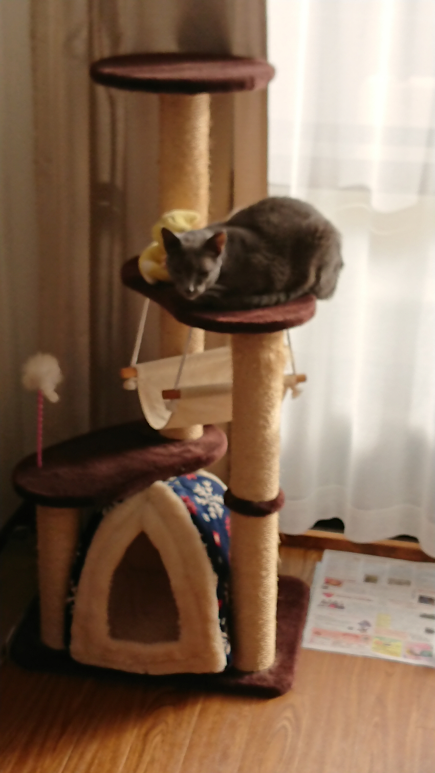 もう飽きたんかいっ♪