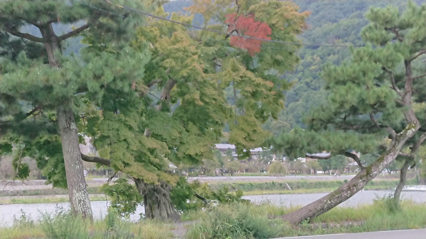さて・・・・