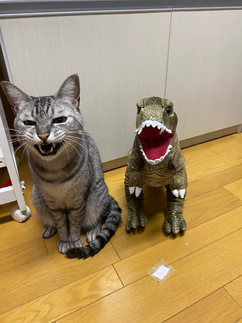 某所にて♪