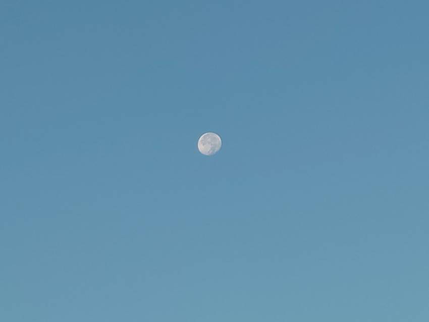 二日遅れ(^^ゞ