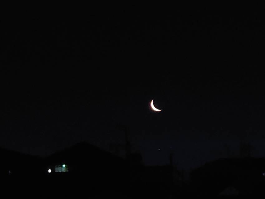 画像だと赤みが薄いです(^^ゞ