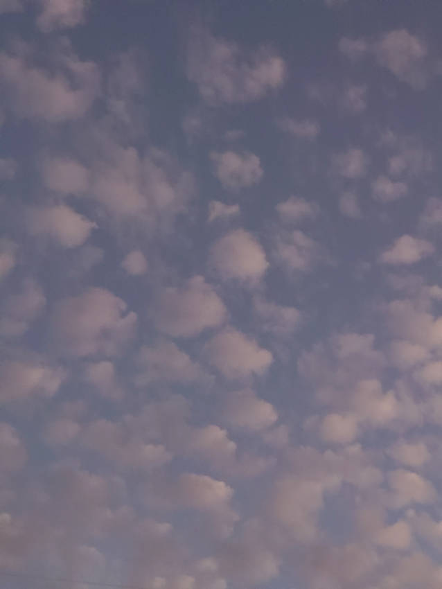5日の夕方♪