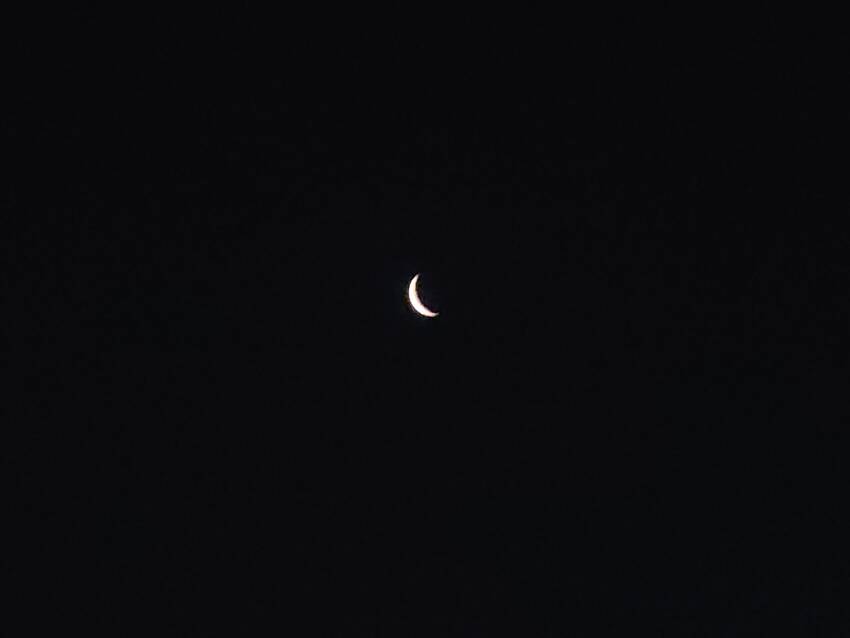 昨日より上手く取れた(*^^)...