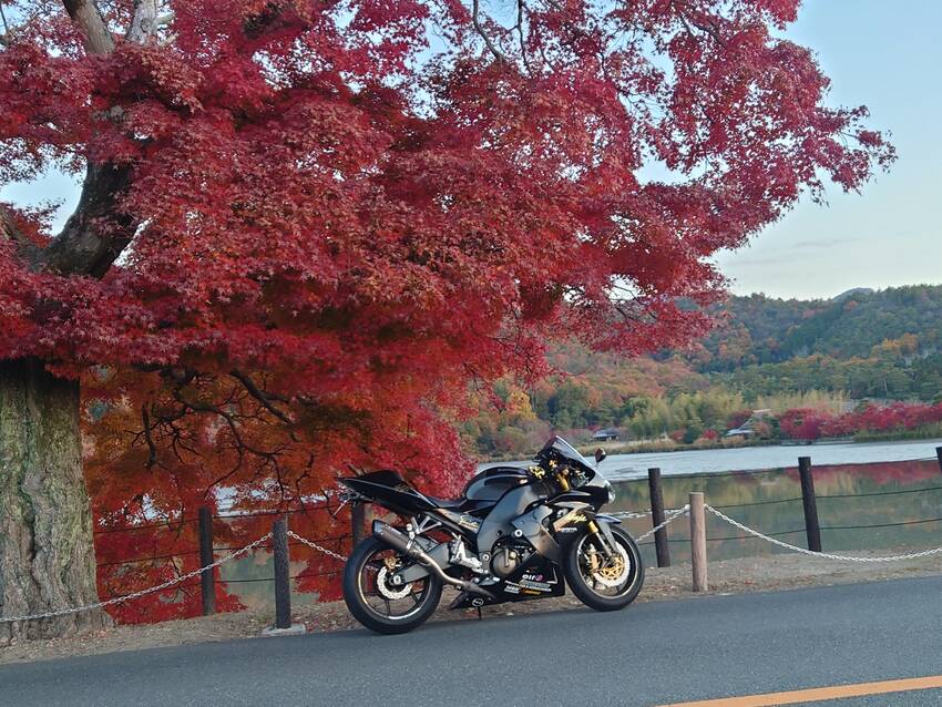 ZX-10R