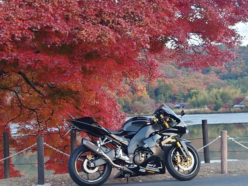 ZX-10R