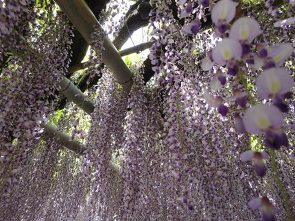 ２０１１．５．５♪