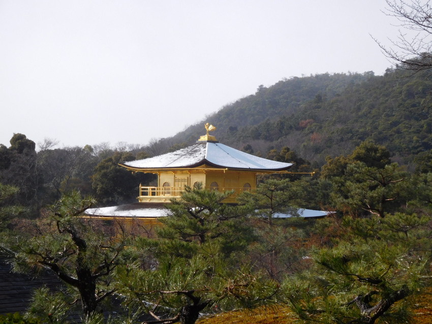 京都の冬