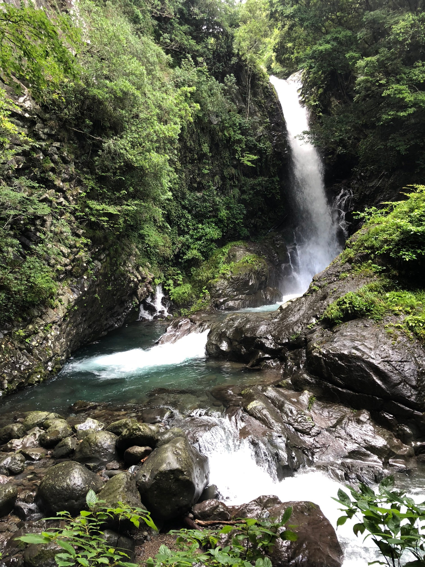 大室山の後は中伊豆のワイナリー...