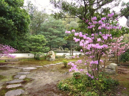 桜の長府～長府毛利邸