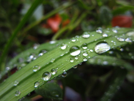 雨降り月曜日