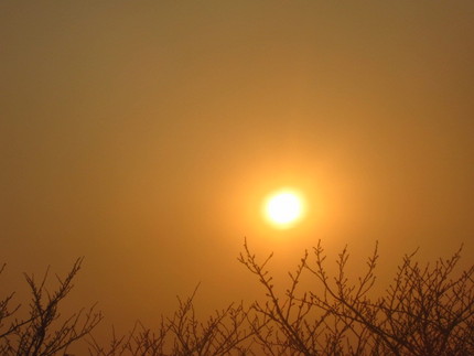 お疲れさまの夕日も白いベールに...