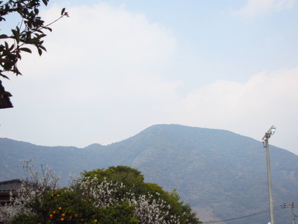 彼岸桜を望む近くの山