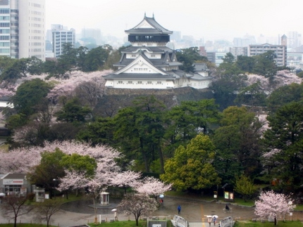 今日の小倉城～桜満開