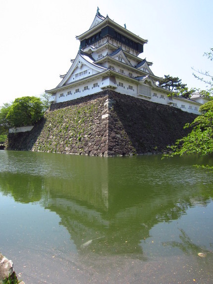 水面の浮遊物で逆さ城がハッキリ...